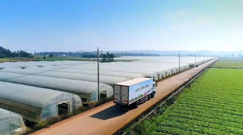 1541735240257847188l.jpg 3.jpg